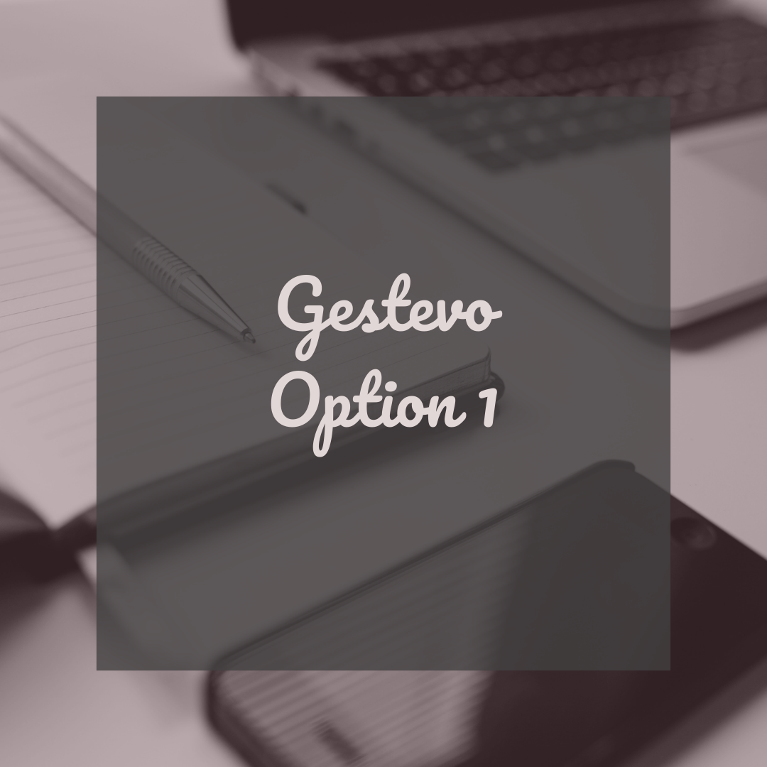 GESTEVO - SE LANCER - Option 1