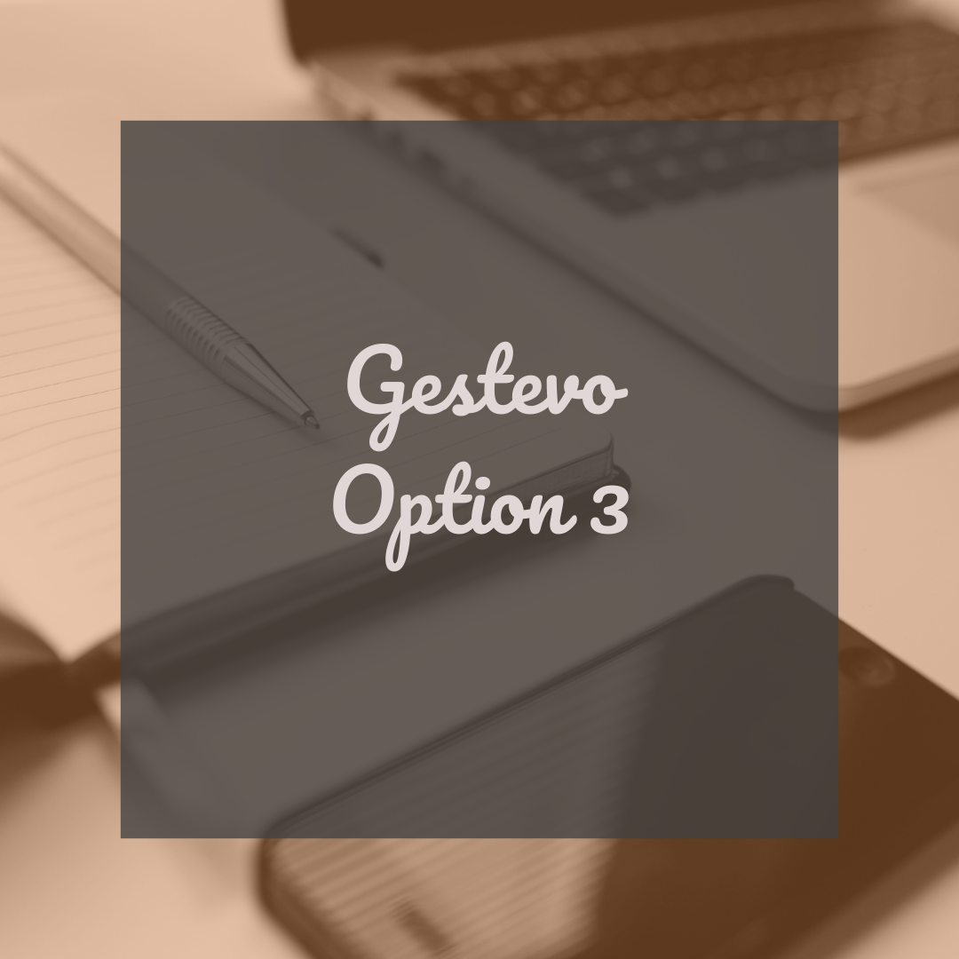 GESTEVO - SE DEVELOPPER - Option 3